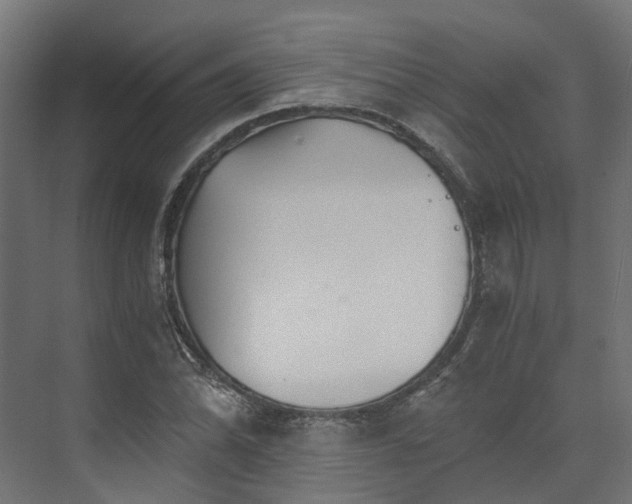 X0000073841070200608171001