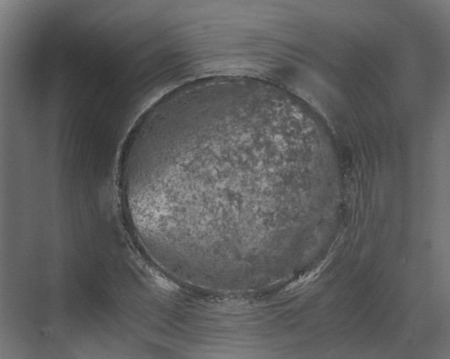 X0000073841071200608171001