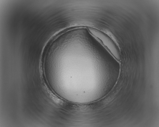 X0000073841072200608171001