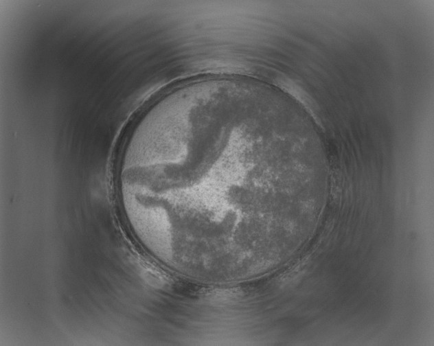 X0000073841074200608171001