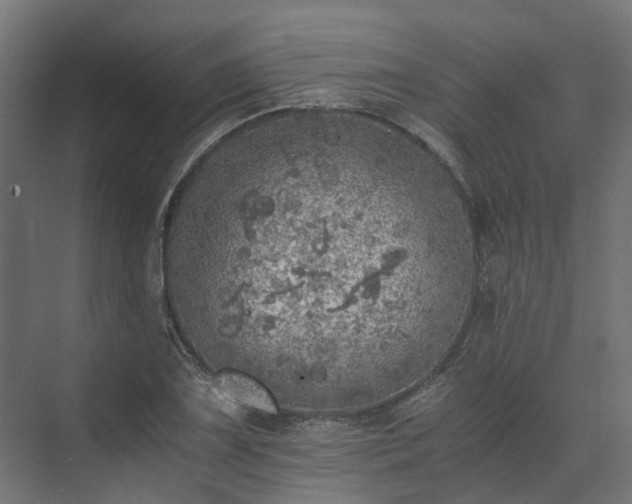 X0000073841075200608171001