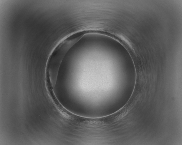 X0000073841077200608171001