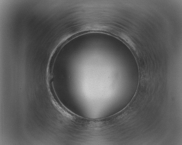 X0000073841080200608171001