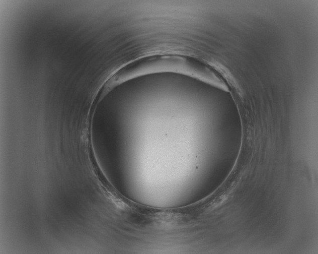 X0000073841081200608171001