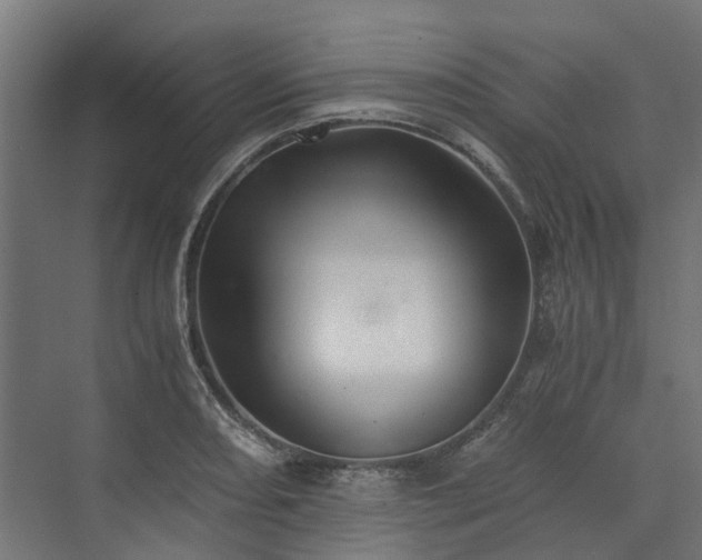 X0000073841082200608171001