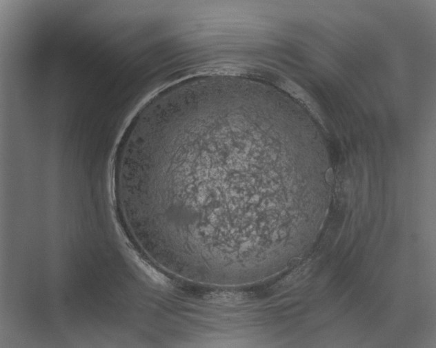 X0000073841083200608171001