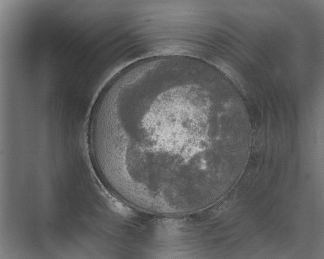 X0000073841086200608171000