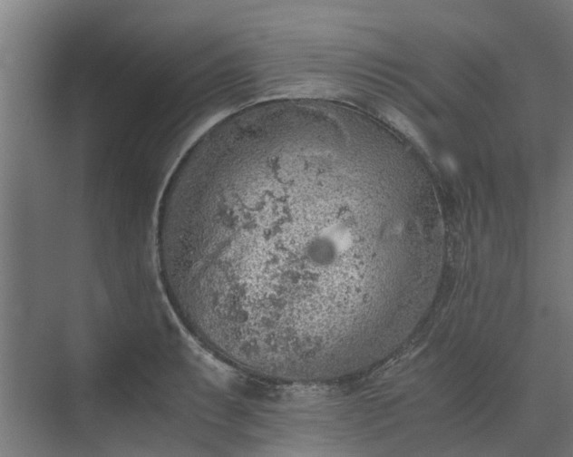 X0000073841087200608171000