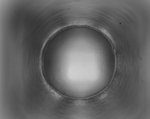 X0000073841088200608171000