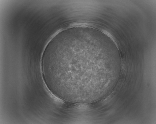 X0000073841090200608171000