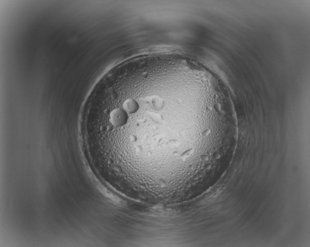 X0000073841091200608171000