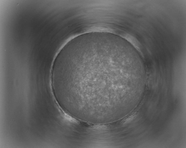 X0000073841094200608171000