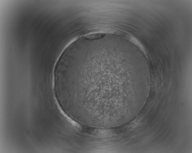 X0000073841095200608171000