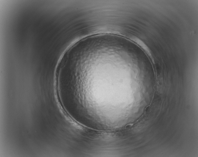 X0000073841096200608171000