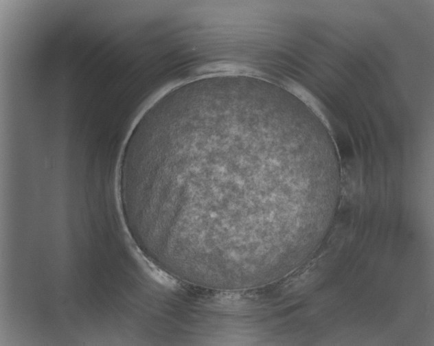 X0000073841098200608171000