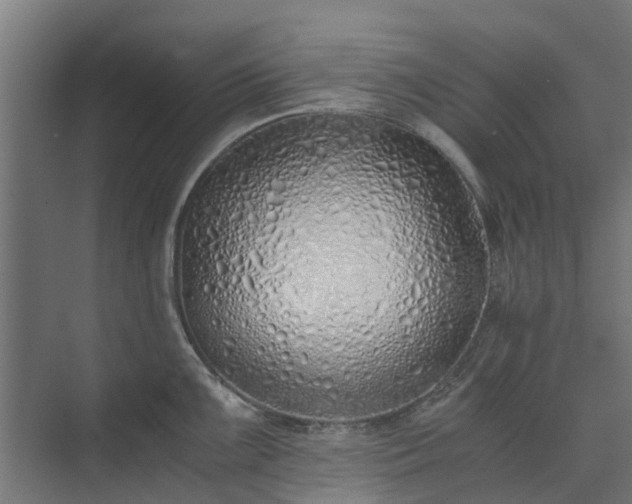 X0000073841099200608171000