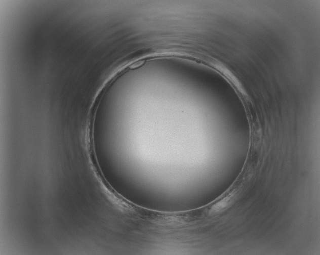 X0000073841101200608171000