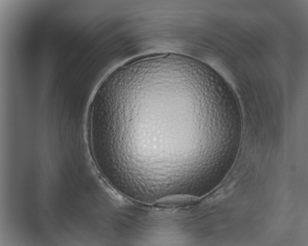 X0000073841104200608171000