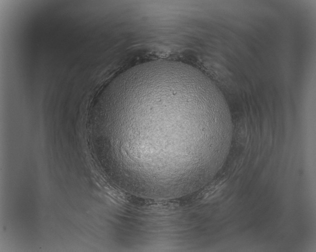 X0000073841105200608170959