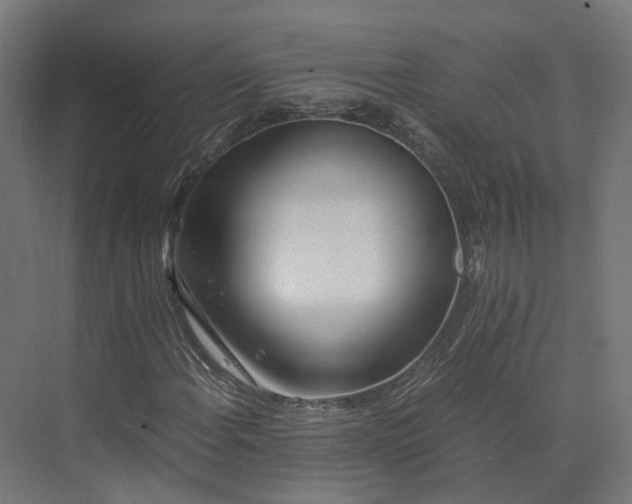 X0000073841108200608170959