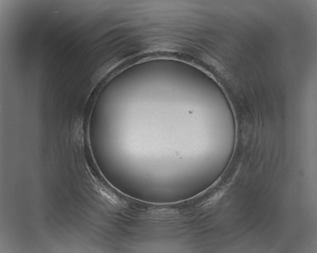 X0000073841113200608170959