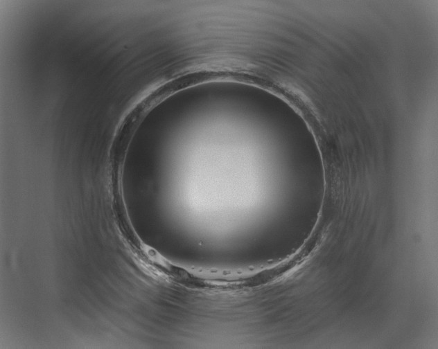 X0000073841114200608170959