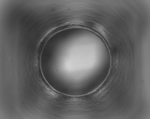 X0000073841115200608171000