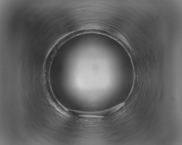 X0000073841116200608171000