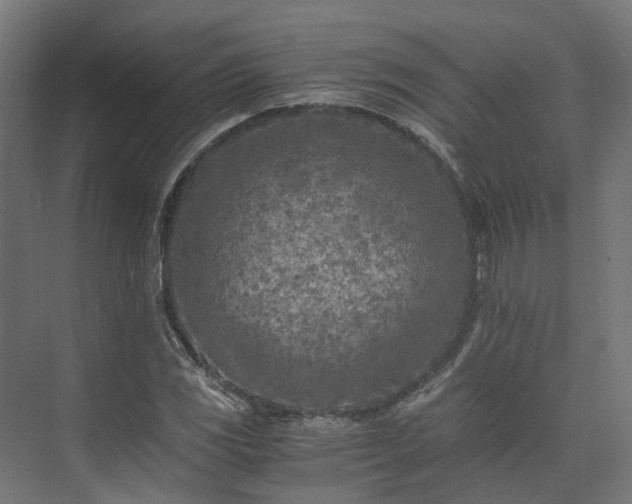 X0000073841117200608171000