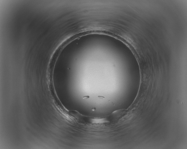 X0000073841119200608171000