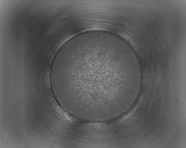 X0000073841121200608171000