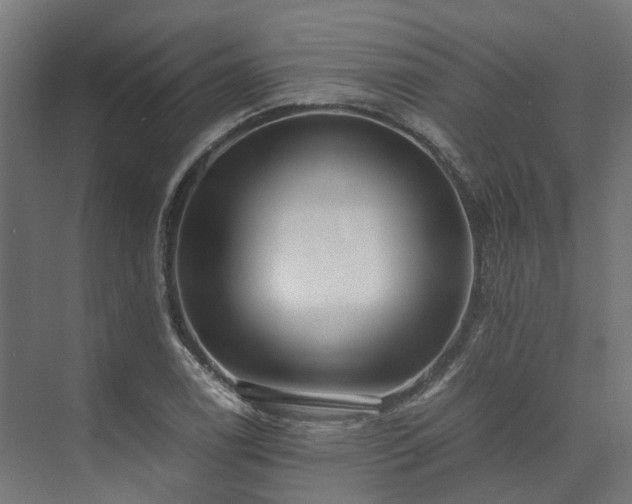 X0000073841122200608171000