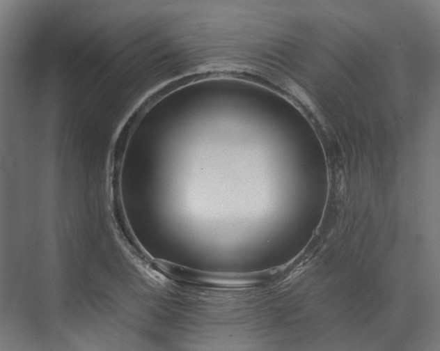 X0000073841124200608171000