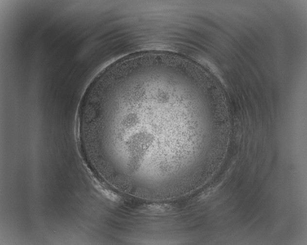 X0000073841125200608171000