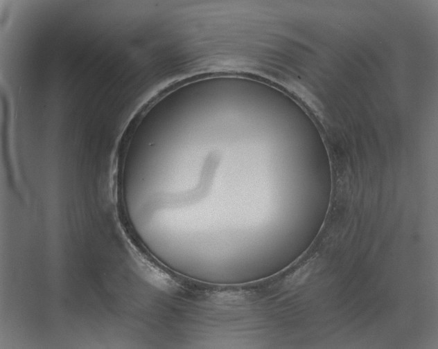 X0000073841126200608171000