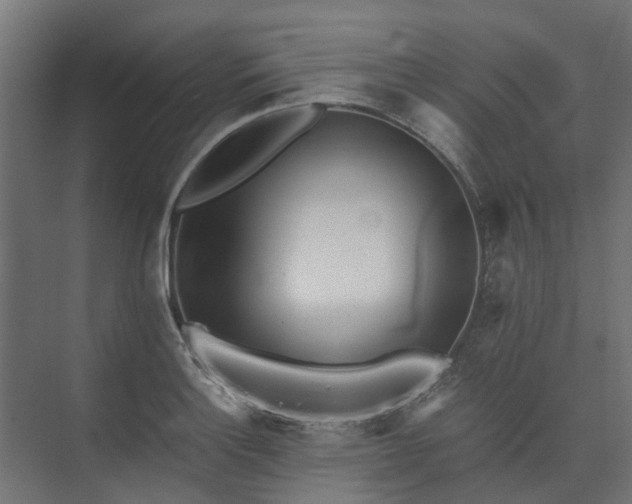 X0000073841132200608171000