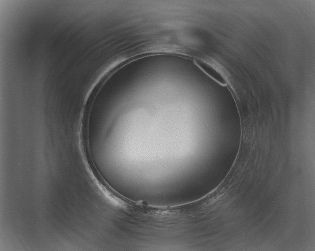 X0000073841139200608171000