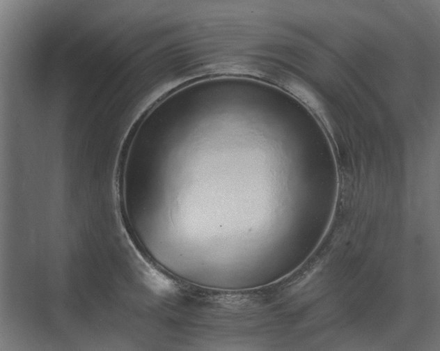 X0000073841141200608171000