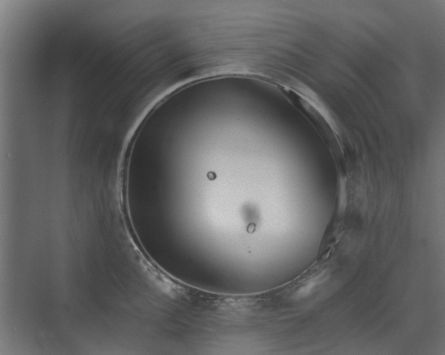 X0000073841148200608171000