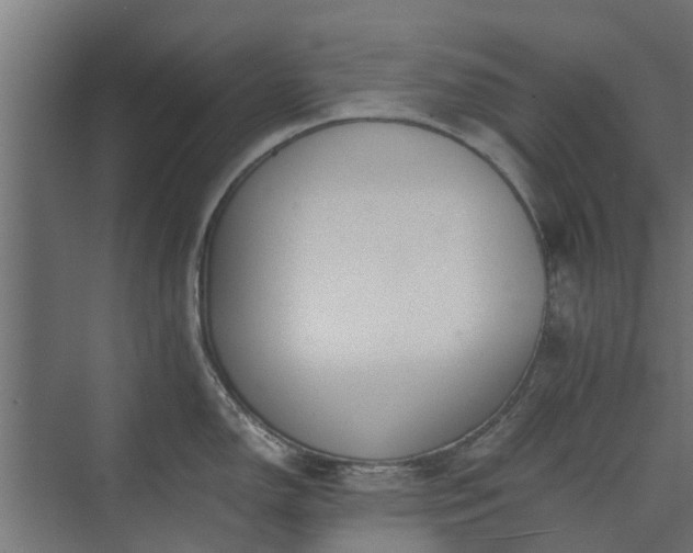 X0000073841150200608171000