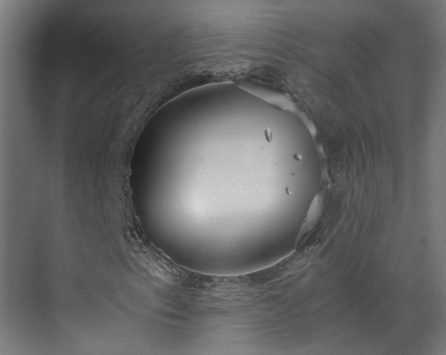 X0000073841153200608170959