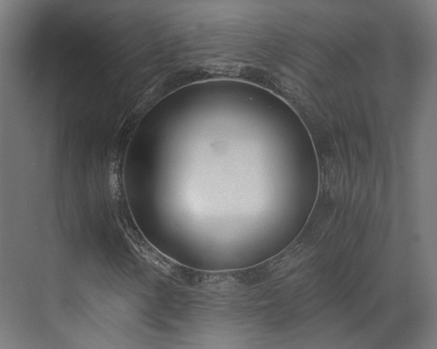 X0000073841154200608170959