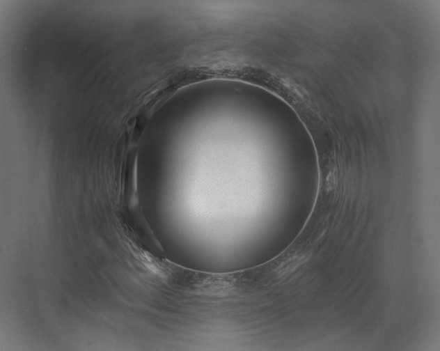 X0000073841156200608170959