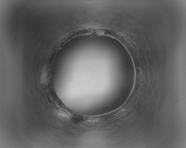 X0000073841157200608170959