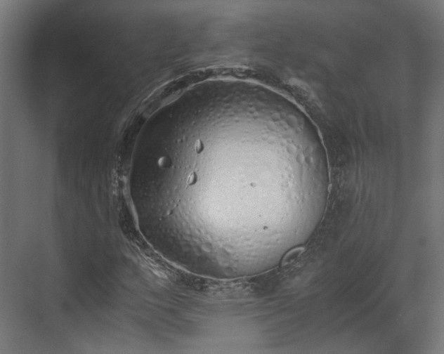 X0000073841159200608170959