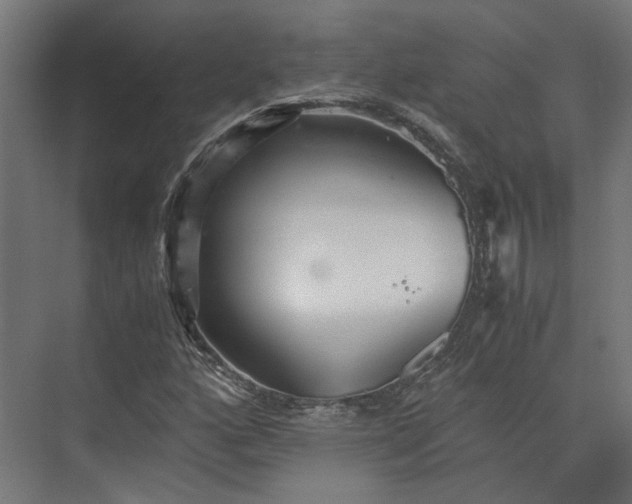 X0000073841160200608170959