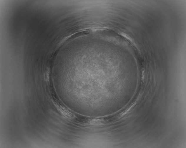 X0000073841161200608170959