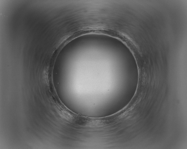 X0000073841162200608170959