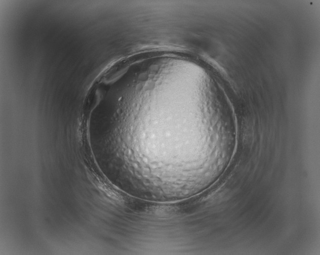 X0000073841163200608170959