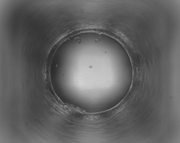 X0000073841165200608170959